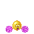 content :pompom: